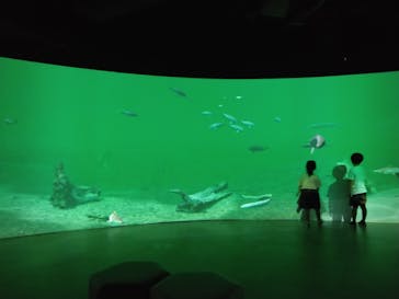 カワスイ 川崎⽔族館に投稿された画像（2023/5/30）