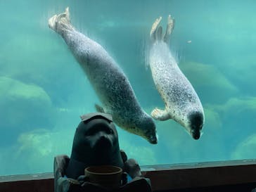 箱根園水族館に投稿された画像（2023/5/30）