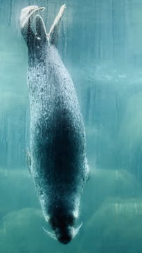 箱根園水族館に投稿された画像（2023/5/30）