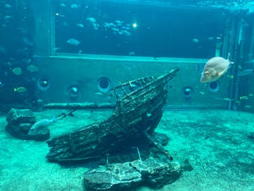 箱根園水族館に投稿された画像（2023/5/30）