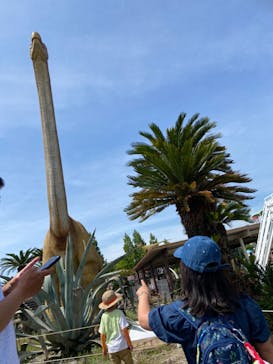 伊豆ぐらんぱる公園に投稿された画像（2023/5/30）