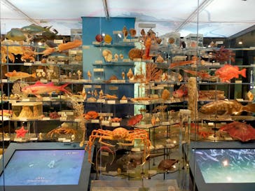 国立科学博物館に投稿された画像（2023/5/30）