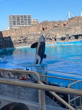 名古屋港水族館に投稿された画像（2023/5/30）