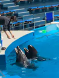 マクセル アクアパーク品川に投稿された画像（2023/5/30）