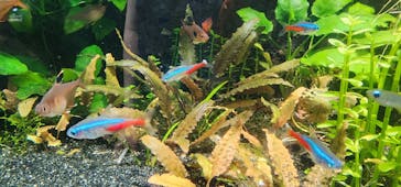 サンシャイン水族館に投稿された画像（2023/5/30）