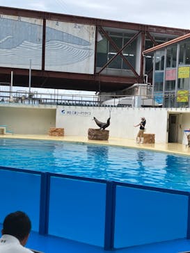 伊豆・三津シーパラダイスに投稿された画像（2023/5/30）