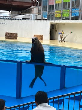 伊豆・三津シーパラダイスに投稿された画像（2023/5/30）