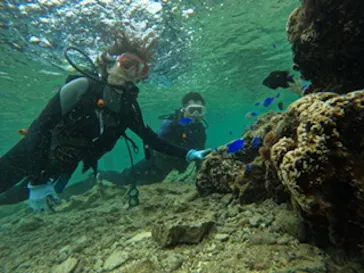 武藤潜水に投稿された画像（2023/5/30）