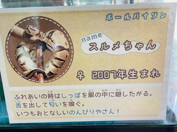 那須ワールドモンキーパークに投稿された画像（2023/5/30）