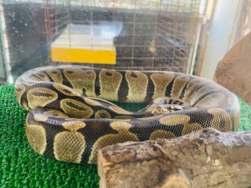 那須ワールドモンキーパークに投稿された画像（2023/5/30）