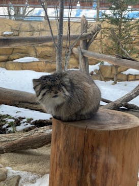 那須どうぶつ王国に投稿された画像（2023/5/30）