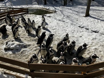那須どうぶつ王国に投稿された画像（2023/5/30）