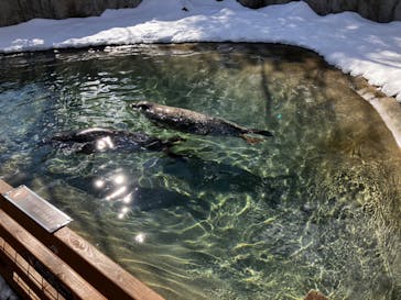 那須どうぶつ王国に投稿された画像（2023/5/30）