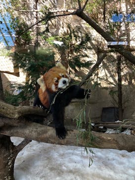 那須どうぶつ王国に投稿された画像（2023/5/30）