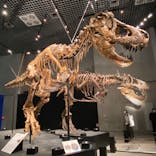 特別展「恐竜博2023」に投稿された画像（2023/5/31）