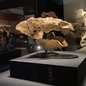 特別展「恐竜博2023」に投稿された画像（2023/5/31）