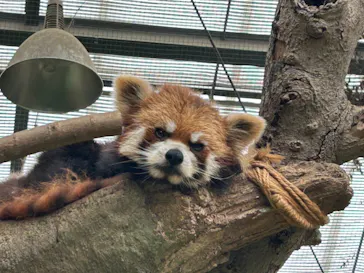 神戸どうぶつ王国に投稿された画像（2023/5/31）