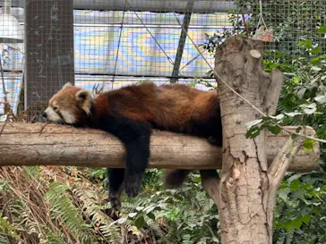 神戸どうぶつ王国に投稿された画像（2023/5/31）