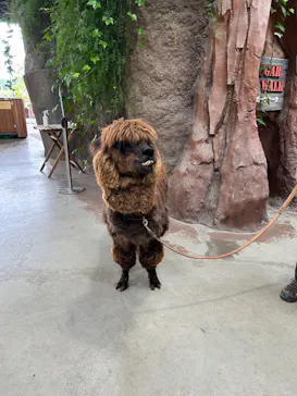 神戸どうぶつ王国に投稿された画像（2023/5/31）