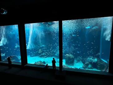 マリンワールド海の中道に投稿された画像（2023/5/31）