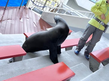 マリンワールド海の中道に投稿された画像（2023/5/31）