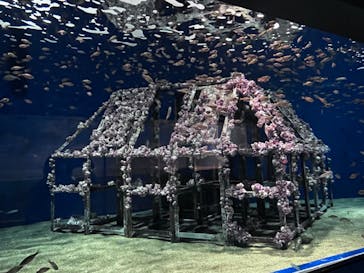 マリンワールド海の中道に投稿された画像（2023/5/31）