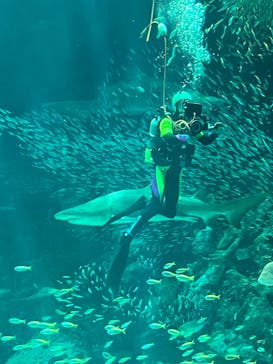 マリンワールド海の中道に投稿された画像（2023/5/31）