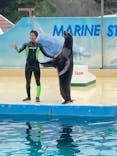 下田海中水族館に投稿された画像（2023/5/31）