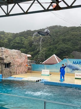 下田海中水族館に投稿された画像（2023/5/31）