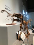 特別展「恐竜博2023」に投稿された画像（2023/5/31）
