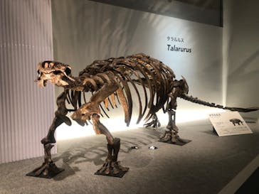 特別展「恐竜博2023」に投稿された画像（2023/5/31）