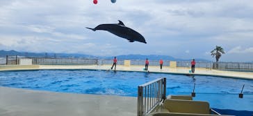 マリンワールド海の中道に投稿された画像（2023/5/31）