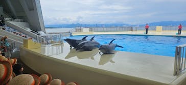 マリンワールド海の中道に投稿された画像（2023/5/31）