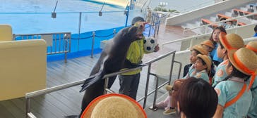 マリンワールド海の中道に投稿された画像（2023/5/31）