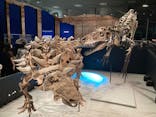 特別展「恐竜博2023」に投稿された画像（2023/5/31）