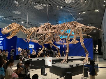 特別展「恐竜博2023」に投稿された画像（2023/5/31）