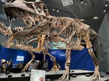 特別展「恐竜博2023」に投稿された画像（2023/5/31）