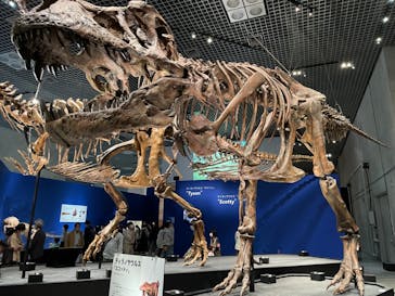 特別展「恐竜博2023」に投稿された画像（2023/5/31）