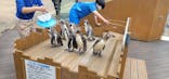 下田海中水族館に投稿された画像（2023/5/31）
