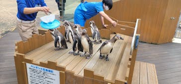 下田海中水族館に投稿された画像（2023/5/31）