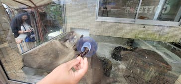 下田海中水族館に投稿された画像（2023/5/31）