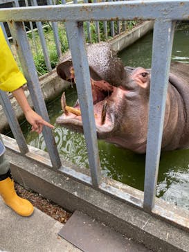 宇都宮動物園に投稿された画像（2023/5/31）