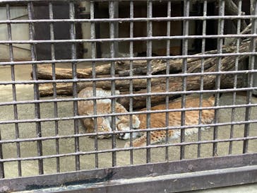 宇都宮動物園に投稿された画像（2023/5/31）