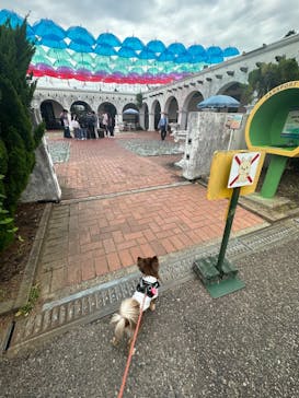 野外民族博物館 リトルワールドに投稿された画像（2023/5/31）