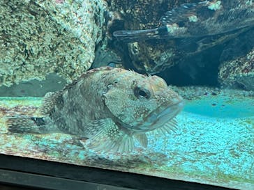 株式会社Gに投稿された画像（2023/5/31）