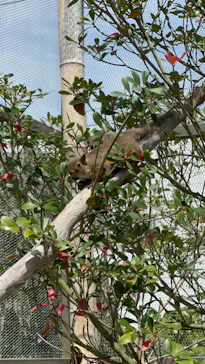 神戸どうぶつ王国に投稿された画像（2023/6/1）