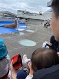 大分マリーンパレス水族館 「うみたまご」に投稿された画像（2023/6/1）