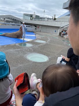 大分マリーンパレス水族館 「うみたまご」に投稿された画像（2023/6/1）