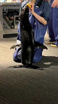 すみだ水族館に投稿された画像（2023/6/1）