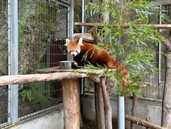 熱川バナナワニ園に投稿された画像（2023/6/1）